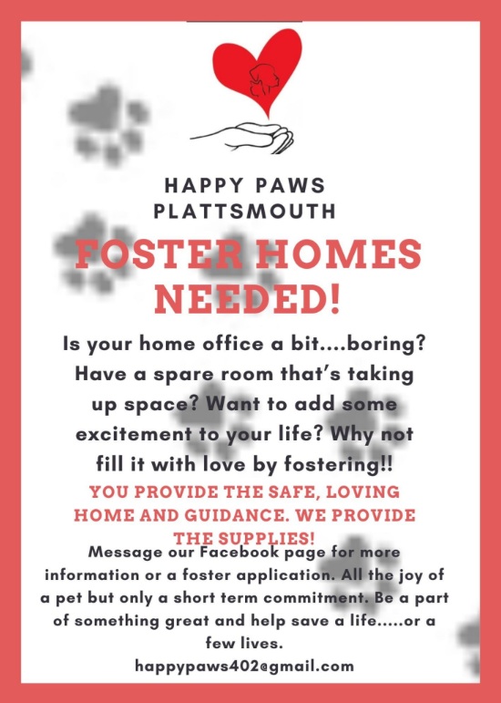 Foster Homes needed
