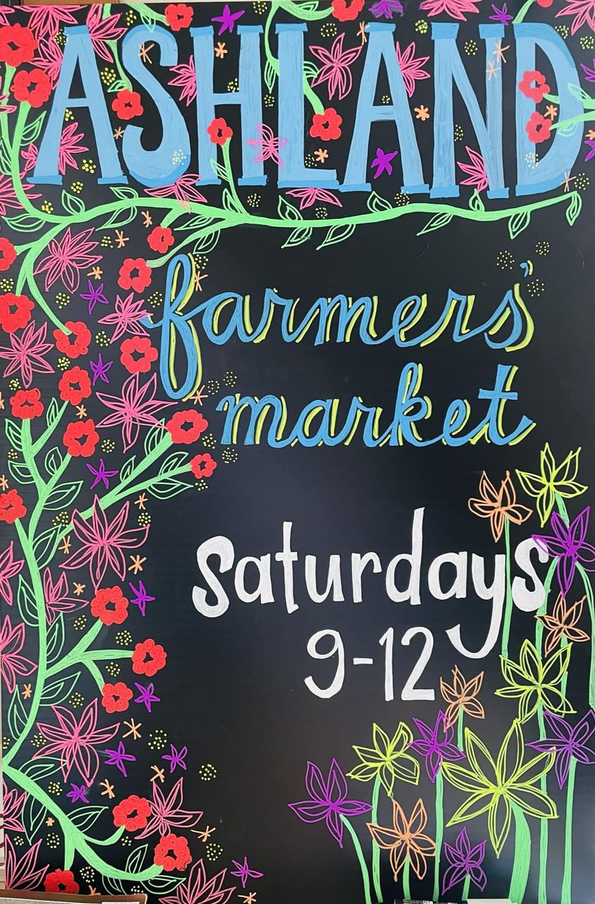 361925966 964971031581218 186125743056089066 n