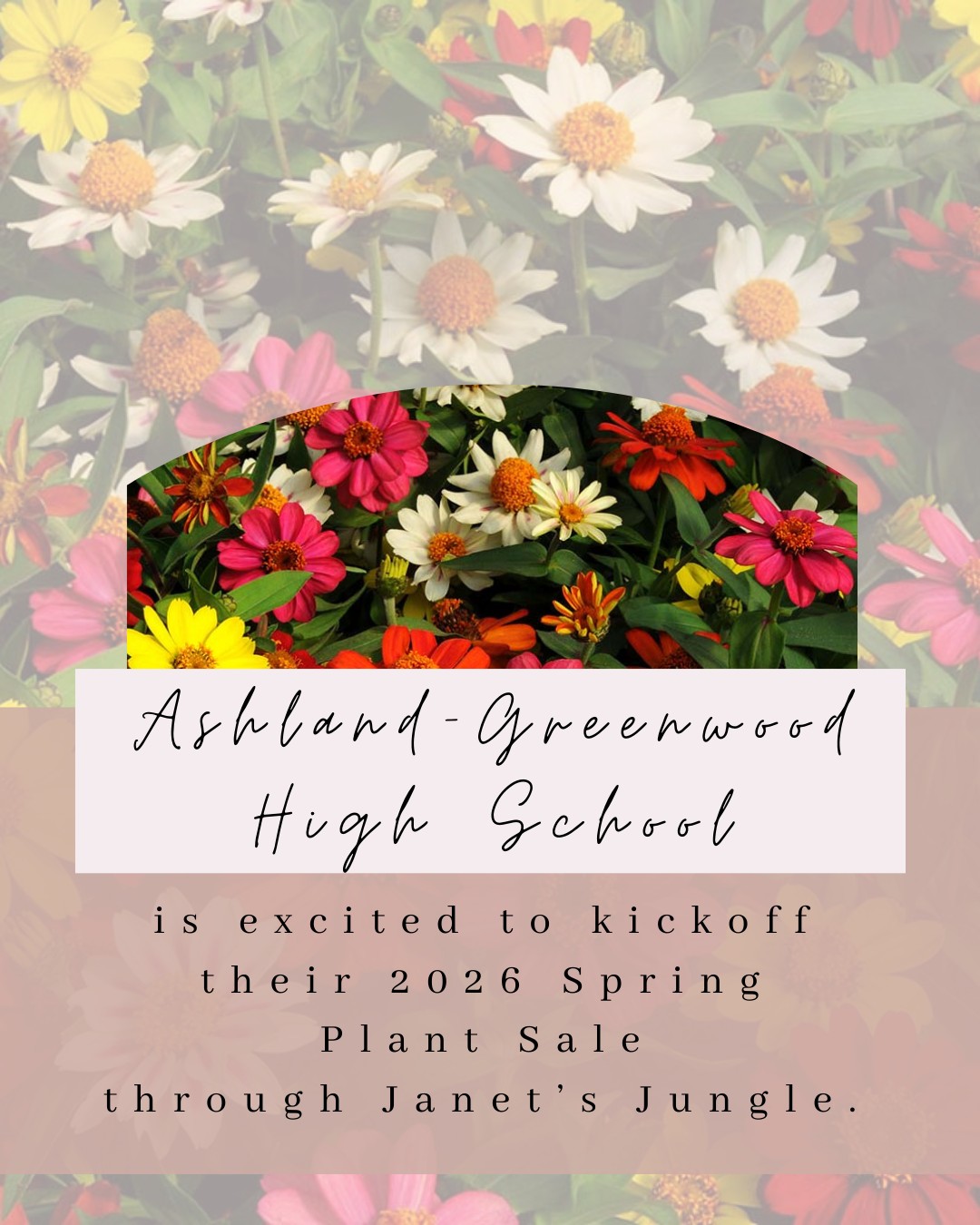 651924247 1450515236772591 1351619886981687609 n