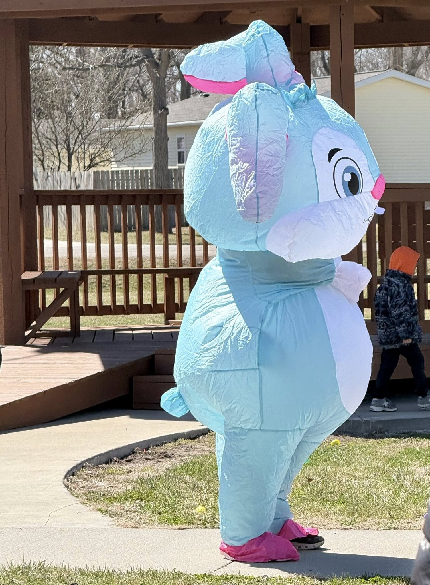 659036074 1339214458239971 3553559404002684119 n